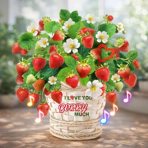 Love You Berry Much 3D strawberry pop-up card with music and lights