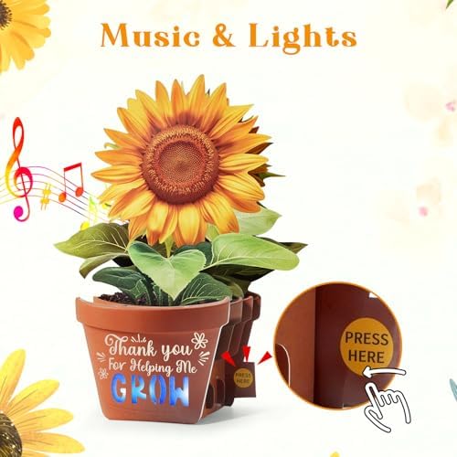 Sunflower thank you card open display